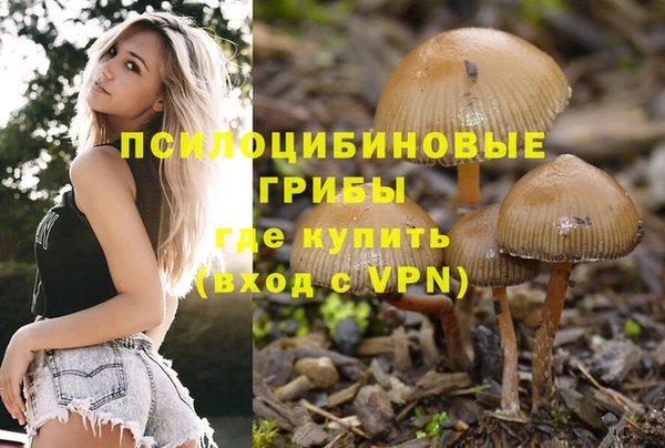 не бодяженный Козельск