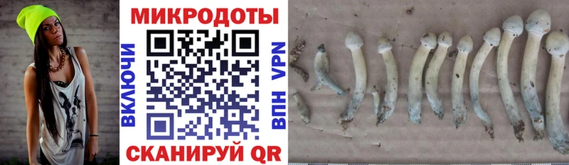 Псилоцибиновые грибы мухоморы  Купить закладки  Хадыженск 